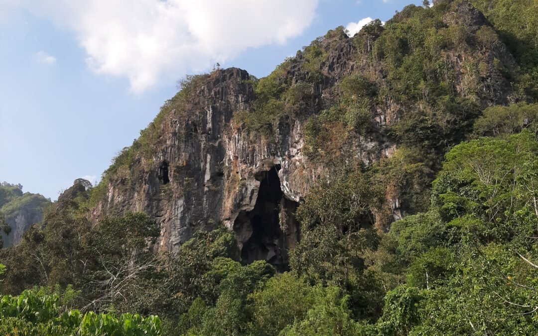 Upaya Restorasi Hutan dan Kolaborasi Masyarakat Dorong Pemulihan Lingkungan