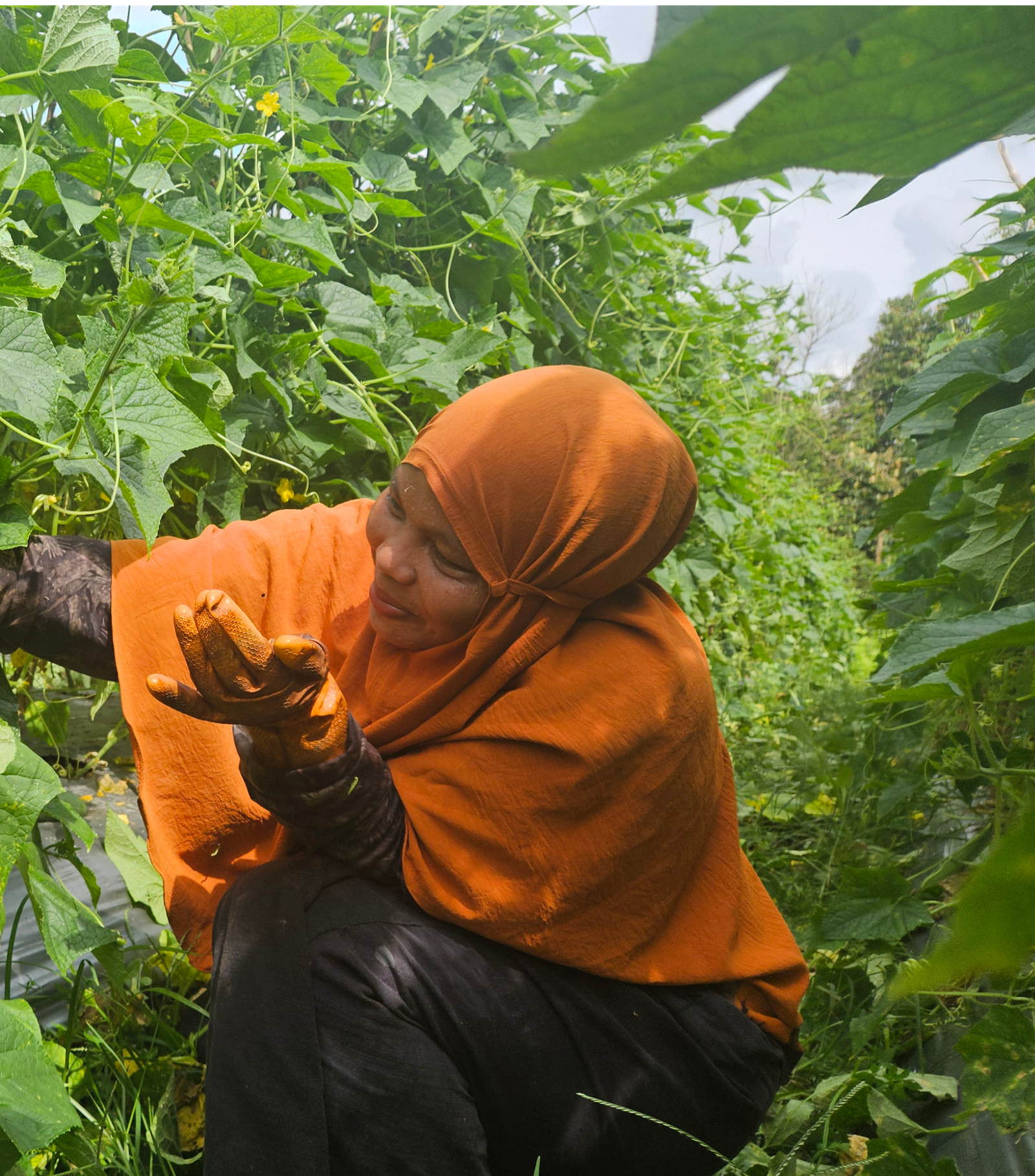 Restorasi Hutan dan Pengelolaan Sampah Jadi Langkah Nyata Menjaga Lingkungan