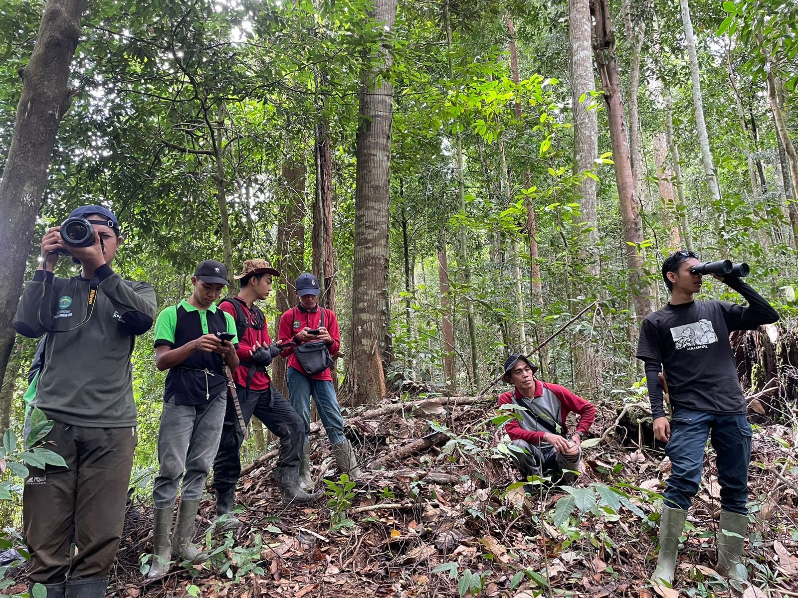 Upaya Restorasi Hutan dan Kolaborasi Masyarakat Dorong Pemulihan Lingkungan