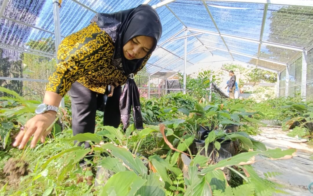 Masyarakat dan Pemuda Bersatu Pulihkan Hutan melalui Aksi Penanaman Pohon