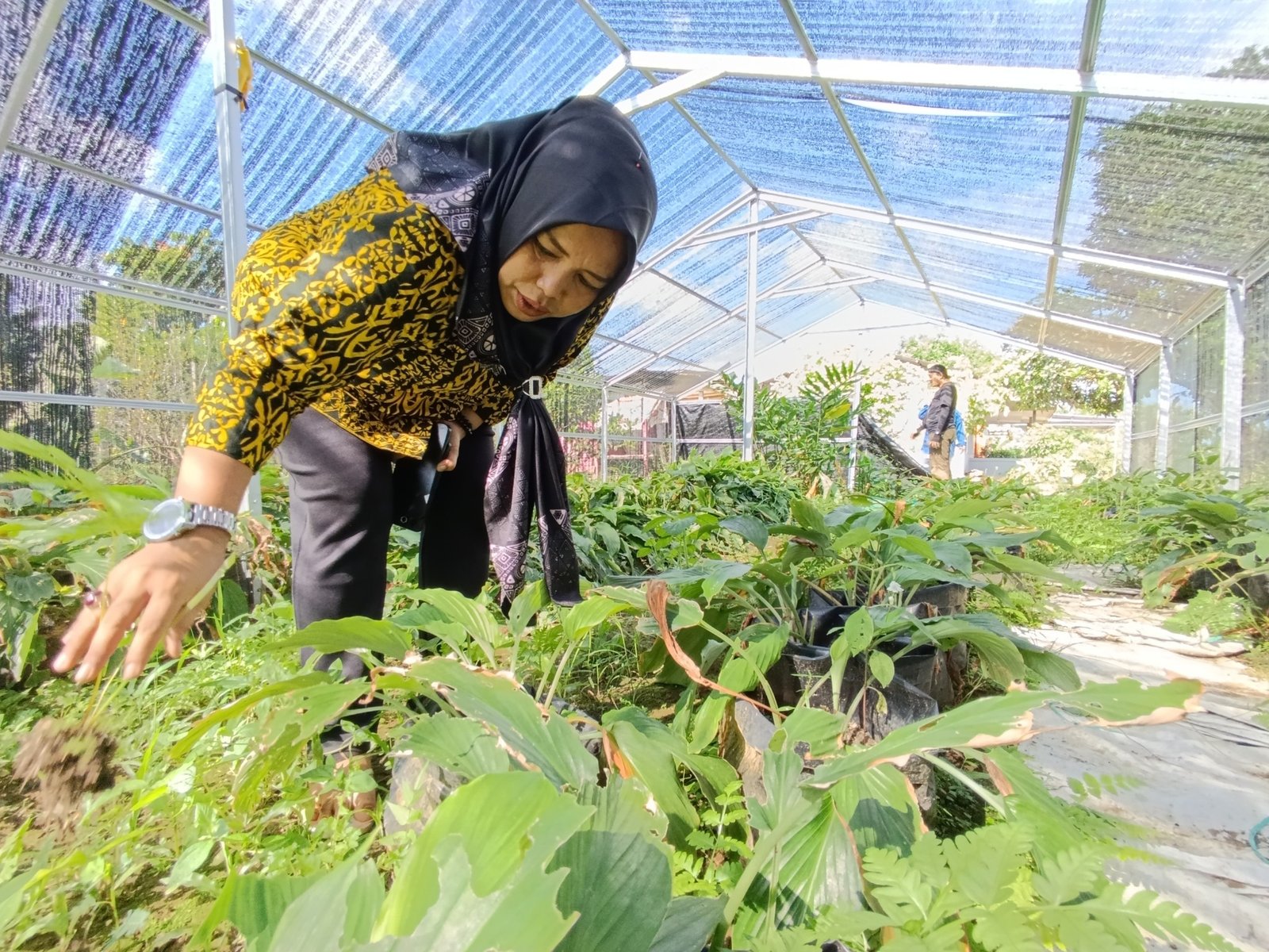 Masyarakat dan Pemuda Bersatu Pulihkan Hutan melalui Aksi Penanaman Pohon